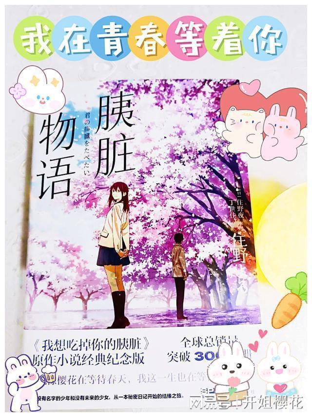 兔兔能吃猫粮吗